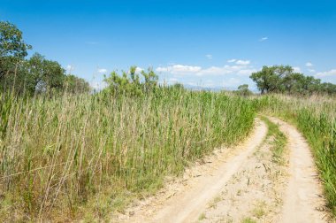 Bozkır yaz. Turgai kapısı. Turgai Kaydet. Milli Parkı 