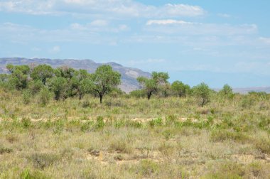  Bozkır yaz. Turgai kapısı. Turgai Kaydet. Milli Parkı 