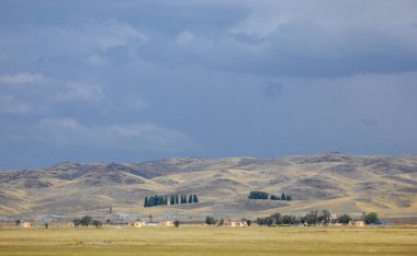 Woodless, zavallı nemi ve genellikle düz ile kuru iklim bölgesinde otsu bitki örtüsü bozkır. çayır, veld, veldt