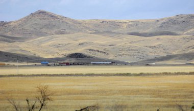 Woodless, zavallı nemi ve genellikle düz ile kuru iklim bölgesinde otsu bitki örtüsü bozkır. çayır, veld, veldt