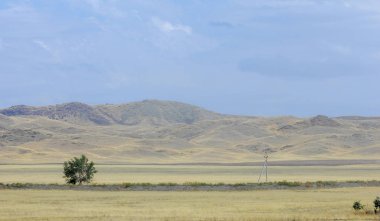 Woodless, zavallı nemi ve genellikle düz ile kuru iklim bölgesinde otsu bitki örtüsü bozkır. çayır, veld, veldt