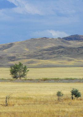 Woodless, zavallı nemi ve genellikle düz ile kuru iklim bölgesinde otsu bitki örtüsü bozkır. çayır, veld, veldt
