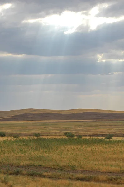 Steppe Est Sans Bois Pauvre Humidité Généralement Plate Avec Une — Photo