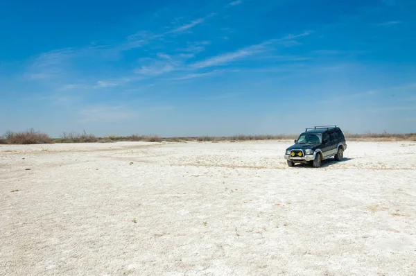 tuzlu su, tuz bataklığı. Etkin badlands. Tek çalı. Kazakistan