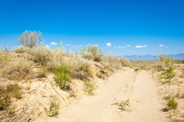 Bozkır yaz. Turgai kapısı. Turgai Kaydet. Milli Parkı 
