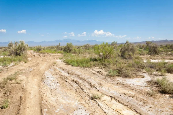  Bozkır yaz. Turgai kapısı. Turgai Kaydet. Milli Parkı 