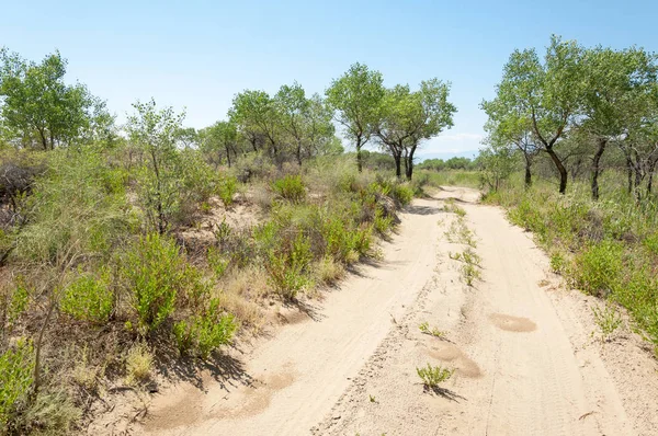  Bozkır yaz. Turgai kapısı. Turgai Kaydet. Milli Parkı 