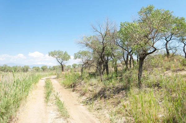  Bozkır yaz. Turgai kapısı. Turgai Kaydet. Milli Parkı 