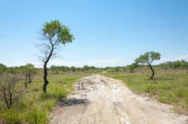  Bozkır yaz. Turgai kapısı. Turgai Kaydet. Milli Parkı 