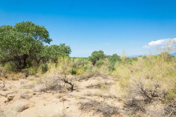 Bozkır yaz. Turgai kapısı. Turgai Kaydet. Milli Parkı 