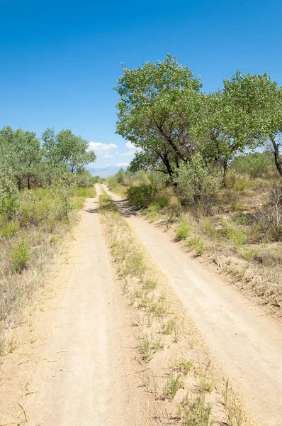  Bozkır yaz. Turgai kapısı. Turgai Kaydet. Milli Parkı 