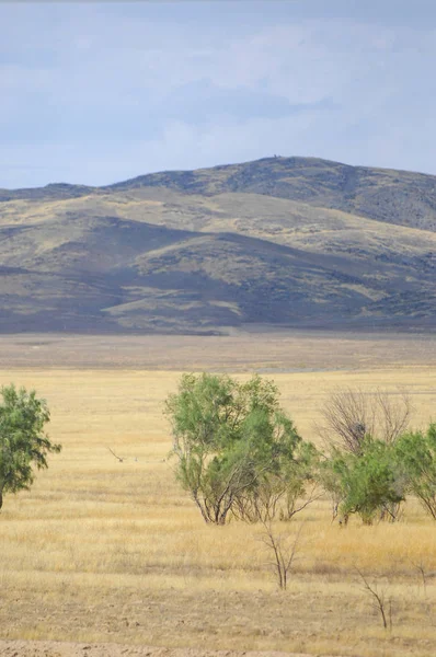 Steppe Est Sans Bois Pauvre Humidité Généralement Plate Avec Une — Photo