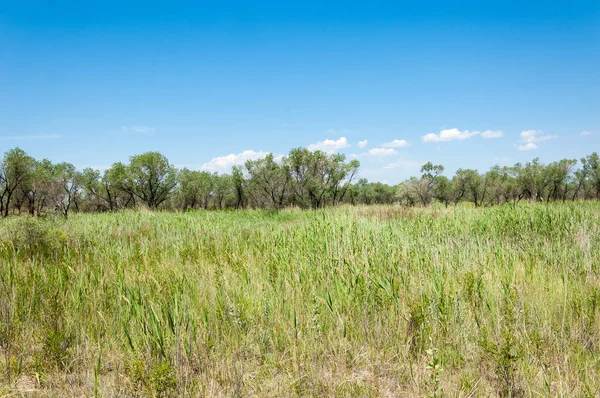 Bozkır yaz. Turgai kapısı. Turgai Kaydet. Milli Parkı 