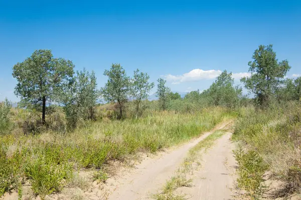  Bozkır yaz. Turgai kapısı. Turgai Kaydet. Milli Parkı 