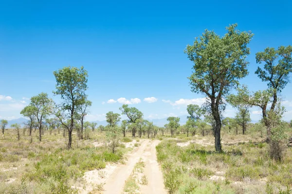 Steppensommer Turgai Tor Turgai Sparen Nationalpark Altyn Emel Kasachstan Den — Stockfoto