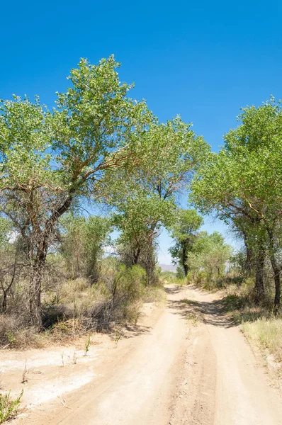  Bozkır yaz. Turgai kapısı. Turgai Kaydet. Milli Parkı 