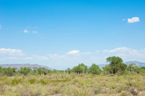  Bozkır yaz. Turgai kapısı. Turgai Kaydet. Milli Parkı 