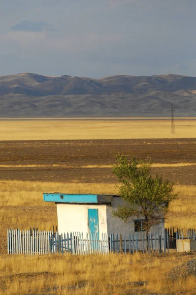 Woodless, zavallı nemi ve genellikle düz ile kuru iklim bölgesinde otsu bitki örtüsü bozkır. çayır, veld, veldt