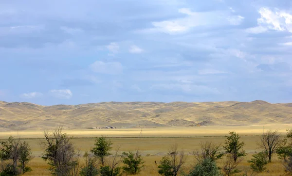 Степь Безлесная Влажная Правило Плоская Травянистой Растительностью Сухой Климатической Зоне — стоковое фото