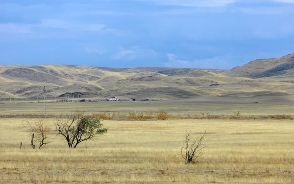 Steppe Woodless Poor Moisture Usually Flat Grassy Vegetation Dry Climate — Stock Photo, Image