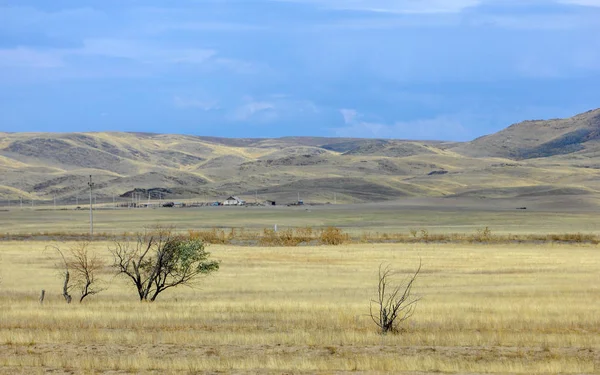 Estepa Boscosa Pobre Humedad Generalmente Plana Con Vegetación Herbácea Zona —  Fotos de Stock