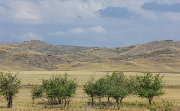 Steppe Est Sans Bois Pauvre Humidité Généralement Plate Avec Une — Photo