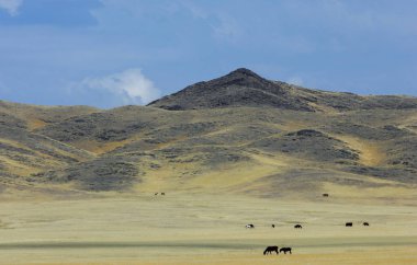 Sonbahar manzara, bozkır Dağları ile. çayır, veld, veldt. otlak, açık, ekilmemiş ülke veya otlak geniş bir açık alan 