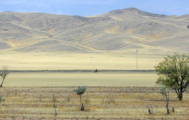 Sonbahar manzara, bozkır Dağları ile. çayır, veld, veldt. otlak, açık, ekilmemiş ülke veya otlak geniş bir açık alan