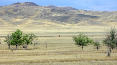 Sonbahar manzara, bozkır Dağları ile. çayır, veld, veldt. otlak, açık, ekilmemiş ülke veya otlak geniş bir açık alan