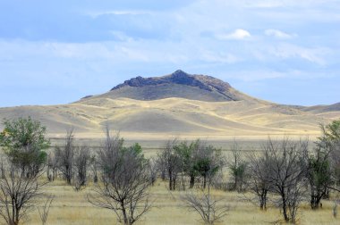 Sonbahar manzara, bozkır Dağları ile. çayır, veld, veldt. otlak, açık, ekilmemiş ülke veya otlak geniş bir açık alan