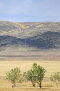 Woodless, zavallı nemi ve genellikle düz ile kuru iklim bölgesinde otsu bitki örtüsü bozkır. çayır, veld, veldt