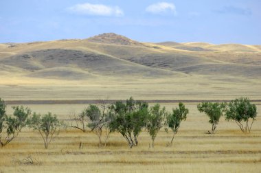 Sonbahar manzara, bozkır Dağları ile. çayır, veld, veldt. otlak, açık, ekilmemiş ülke veya otlak geniş bir açık alan