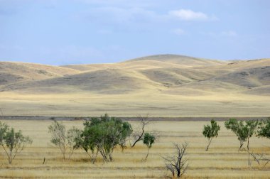 Sonbahar manzara, bozkır Dağları ile. çayır, veld, veldt. otlak, açık, ekilmemiş ülke veya otlak geniş bir açık alan