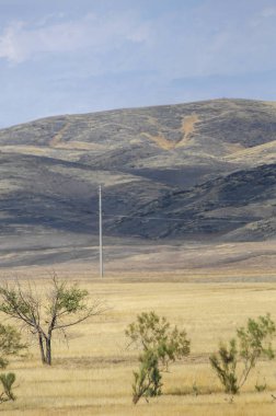 Woodless, zavallı nemi ve genellikle düz ile kuru iklim bölgesinde otsu bitki örtüsü bozkır. çayır, veld, veldt