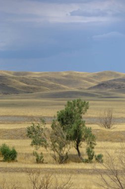 Sonbahar manzara, bozkır Dağları ile. çayır, veld, veldt. otlak, açık, ekilmemiş ülke veya otlak geniş bir açık alan