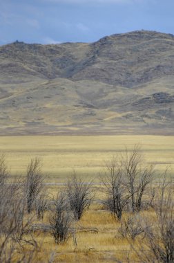 Sonbahar manzara, bozkır Dağları ile. çayır, veld, veldt. otlak, açık, ekilmemiş ülke veya otlak geniş bir açık alan