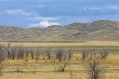 Sonbahar manzara, bozkır Dağları ile. çayır, veld, veldt. otlak, açık, ekilmemiş ülke veya otlak geniş bir açık alan