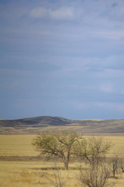 Sonbahar manzara, bozkır Dağları ile. çayır, veld, veldt. otlak, açık, ekilmemiş ülke veya otlak geniş bir açık alan