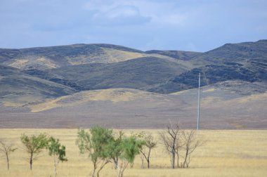 Woodless, zavallı nemi ve genellikle düz ile kuru iklim bölgesinde otsu bitki örtüsü bozkır. çayır, veld, veldt