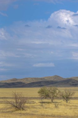 Sonbahar manzara, bozkır Dağları ile. çayır, veld, veldt. otlak, açık, ekilmemiş ülke veya otlak geniş bir açık alan
