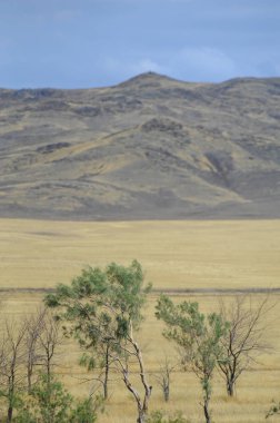 Sonbahar manzara, bozkır Dağları ile. çayır, veld, veldt. otlak, açık, ekilmemiş ülke veya otlak geniş bir açık alan