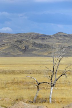 Sonbahar manzara, bozkır Dağları ile. çayır, veld, veldt. otlak, açık, ekilmemiş ülke veya otlak geniş bir açık alan