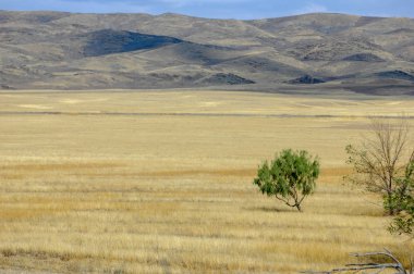 Sonbahar manzara, bozkır Dağları ile. çayır, veld, veldt. otlak, açık, ekilmemiş ülke veya otlak geniş bir açık alan