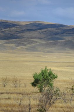 Sonbahar manzara, bozkır Dağları ile. çayır, veld, veldt. otlak, açık, ekilmemiş ülke veya otlak geniş bir açık alan