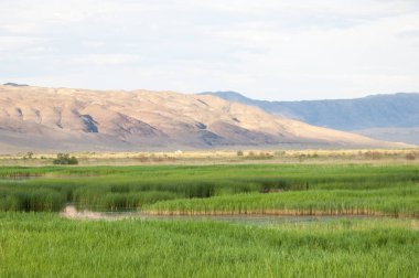  Bozkır yaz. Turgai kapısı. Turgai Kaydet. Milli Parkı 