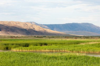  Bozkır yaz. Turgai kapısı. Turgai Kaydet. Milli Parkı 