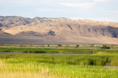  Bozkır yaz. Turgai kapısı. Turgai Kaydet. Milli Parkı 