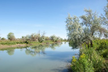 Bozkır nehir sazlık yaz. nehir görünümünde kez izlendi. küçük mavi nehir kıyısında güneşli bir gün