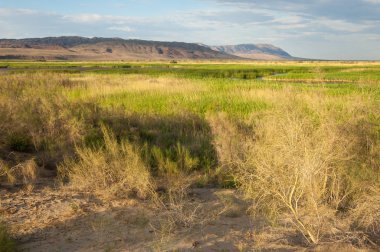  Bozkır yaz. Turgai kapısı. Turgai Kaydet. Milli Parkı 
