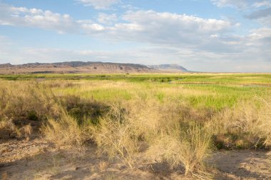  Bozkır yaz. Turgai kapısı. Turgai Kaydet. Milli Parkı 